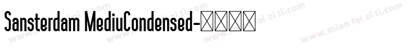 Sansterdam MediuCondensed字体转换
